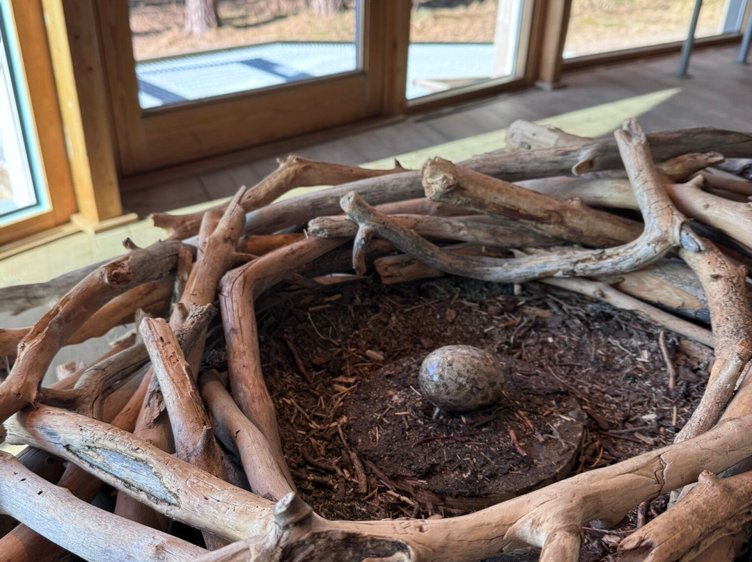 Naturum Värmland-卡尔斯塔德必去景点