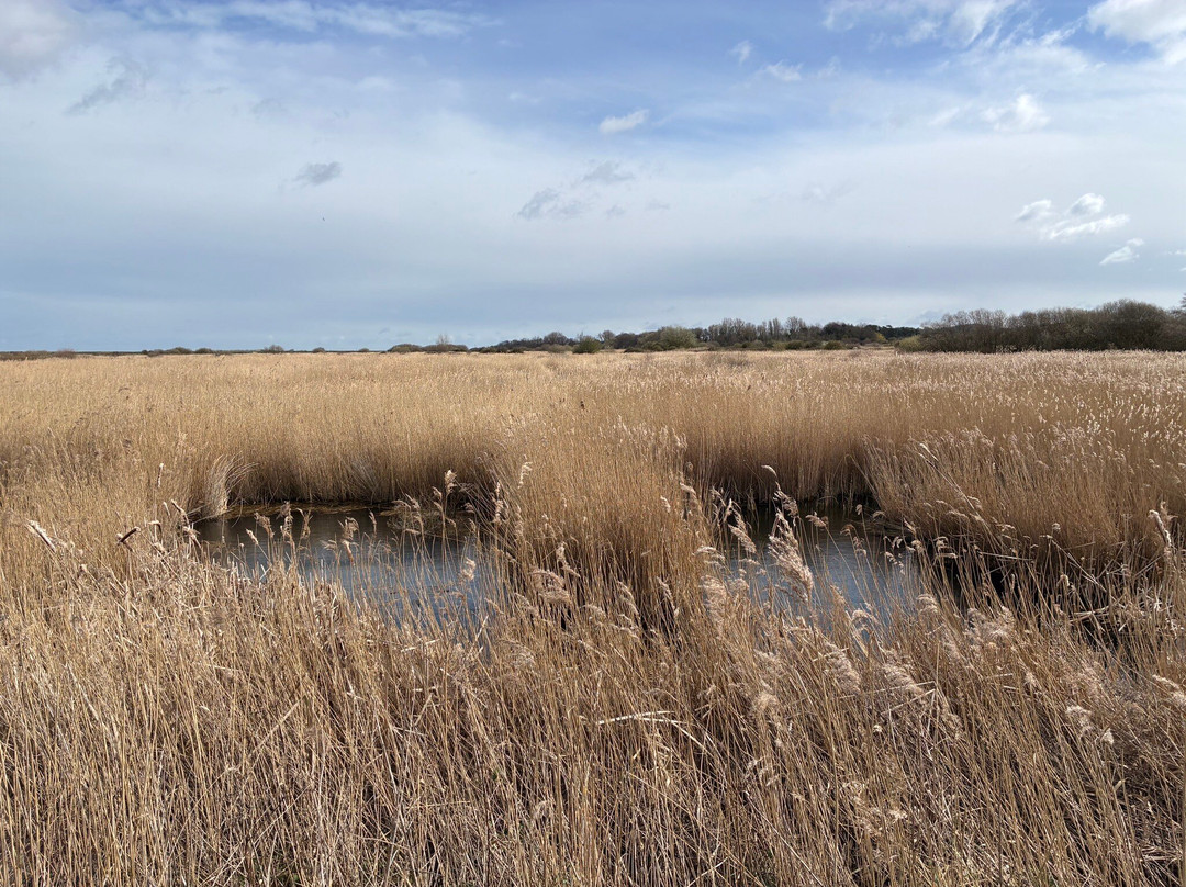 RSPB Titchwell Marsh-Titchwell必去景点