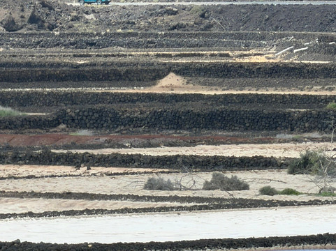Salinas de Janubio-Yaiza必去景点