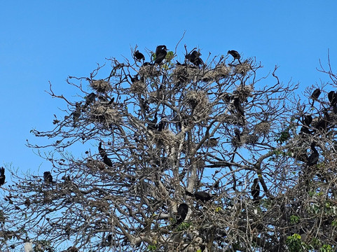 Catemaco Lake-Catemaco必去景点