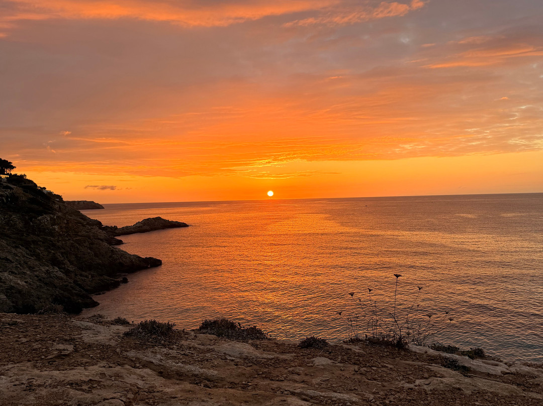 Cala Tarida-伊维萨城区必去景点