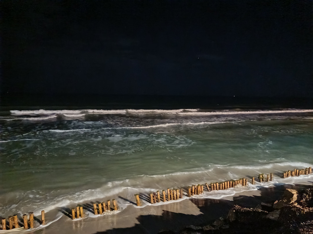 Ulysse Thalasso-杰尔巴岛必去景点