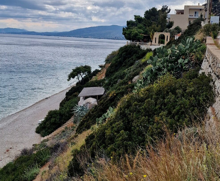 科奇尼斯酒店主图