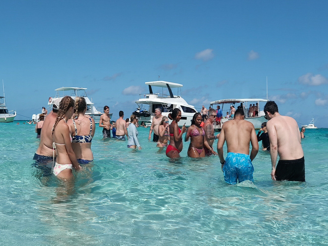 Captain Marvin's Watersports Ltd.-普罗维登西亚莱斯必去景点