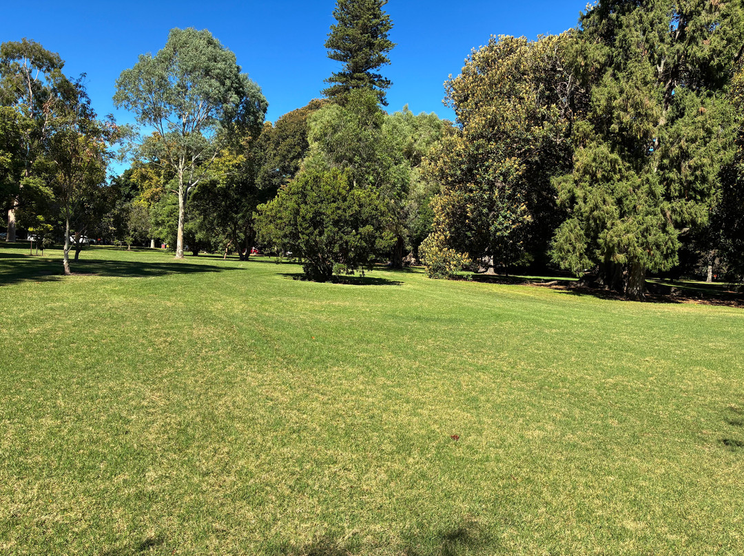 Adelaide Park Lands-阿德莱德必去景点