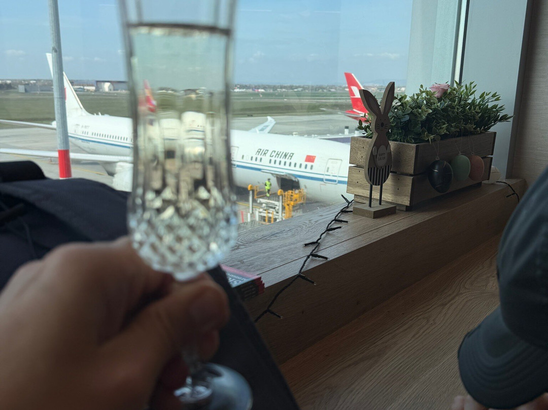 Plaza Premium Lounge (Non-Schengen Area, Departures, Mezzanine Floor, Terminal 2B)-布达佩斯必去景点