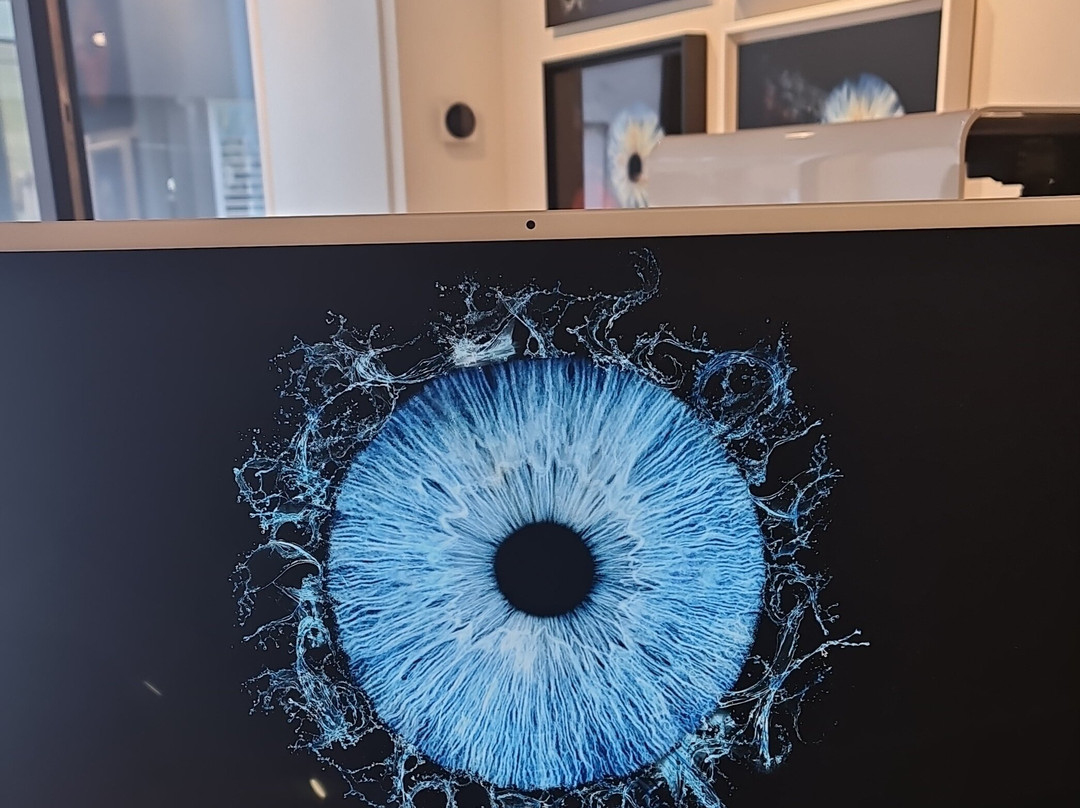 Iris Galerie Breda-布雷达必去景点