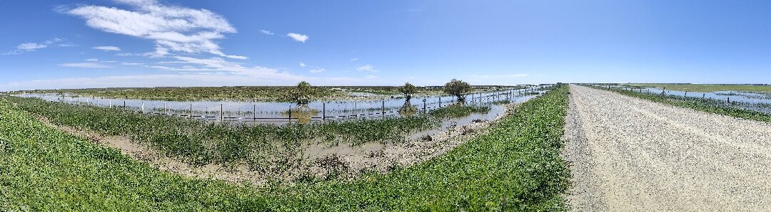 Donana Visitas-El Rocio必去景点