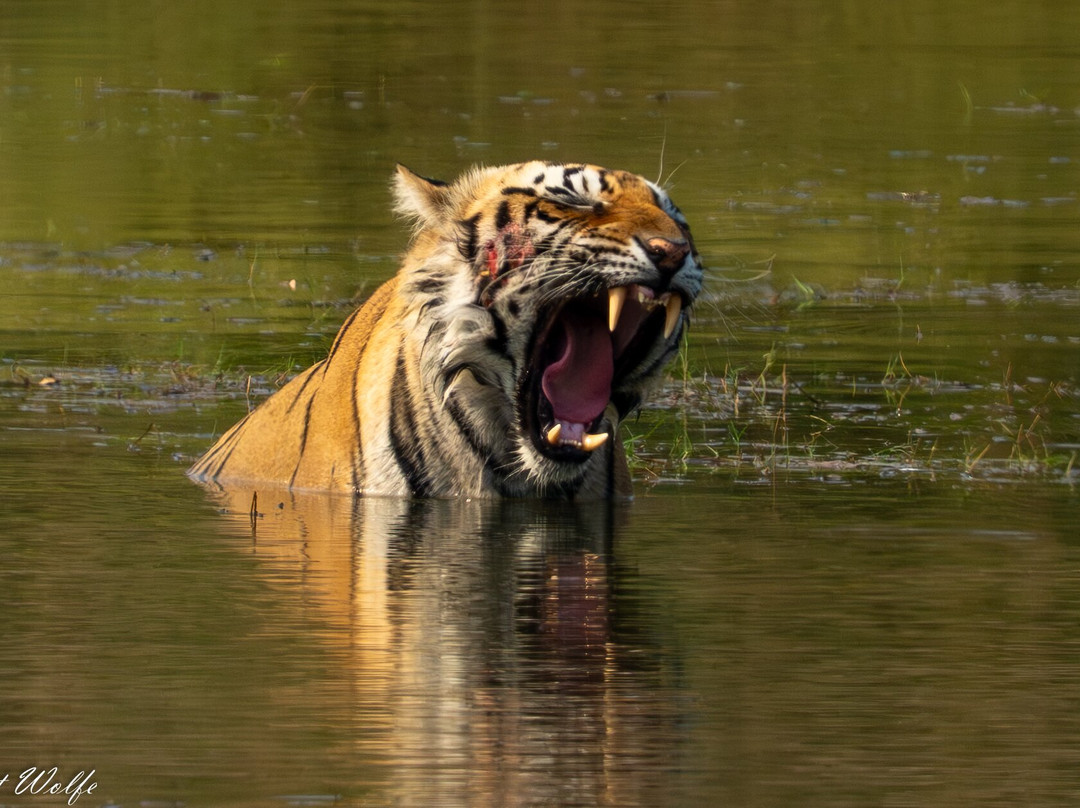 Indian Maharaja Tour-阿格拉必去景点