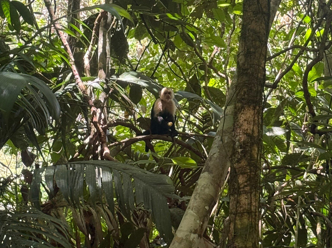 Nauyaca Waterfalls-Baru必去景点