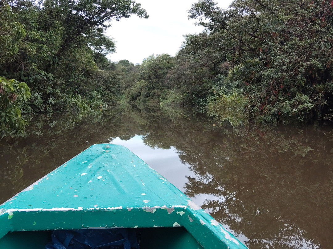 Ecolodge Flottant - Marais de Kaw-Regina必去景点