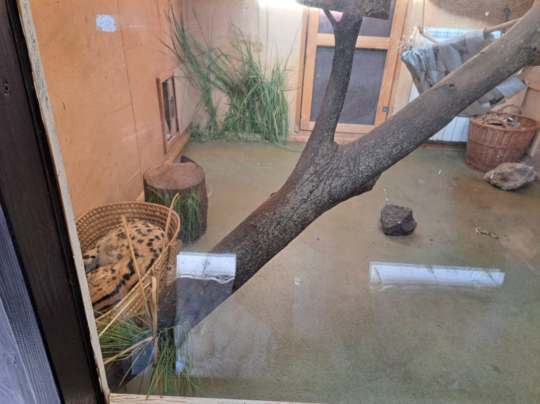 Miejski Ogrod Zoologiczny w Warszawie-华沙必去景点