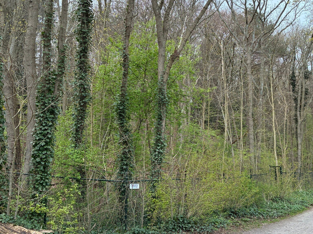 Meester Enschedepark-Bloemendaal必去景点