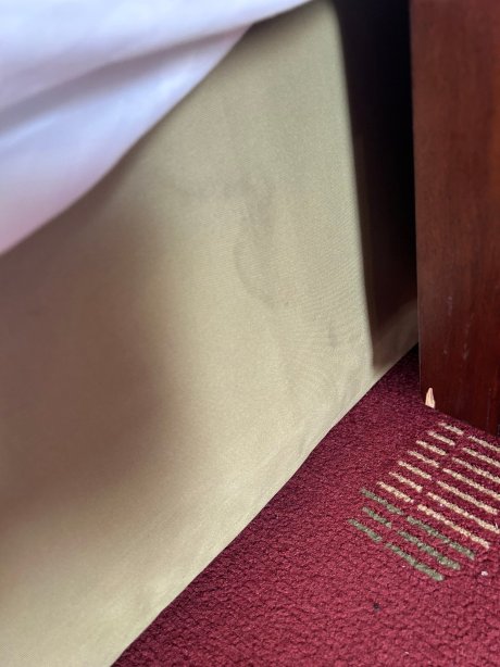 京都八条 都酒店-官方