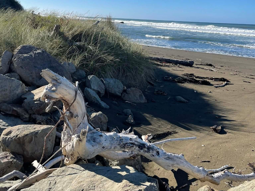 Tora Coastal Walk-马丁堡必去景点