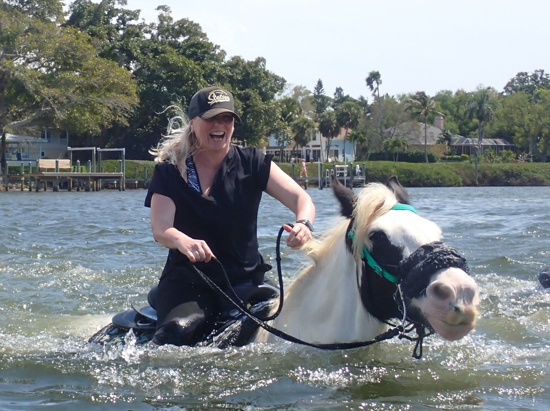 C Ponies Beach Horseback Rides-布雷登顿必去景点