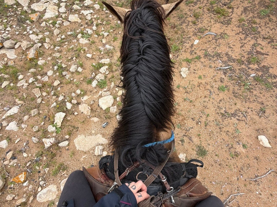Essaouira Dreamers-索维拉必去景点
