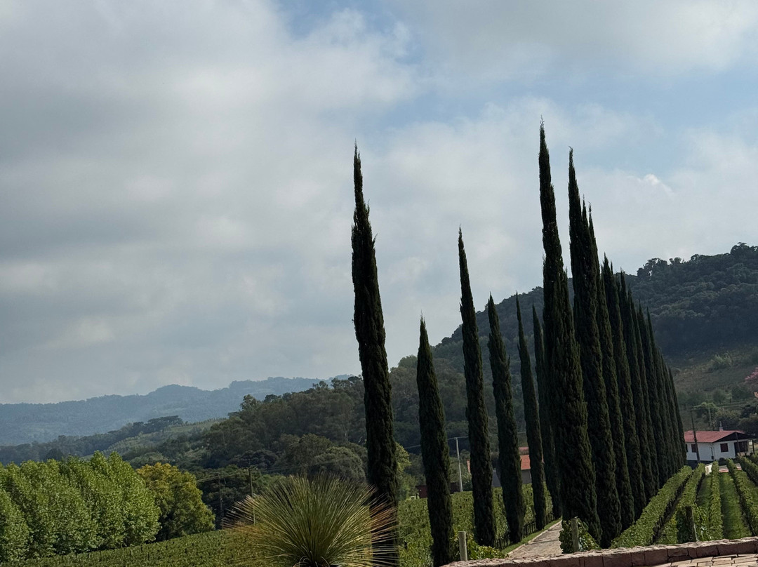 Almaunica Winerie-本图贡萨尔维斯必去景点