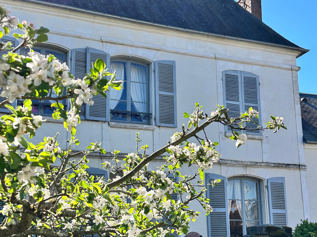 La Maison De Colette-Saint-Sauveur-en-Puisaye必去景点