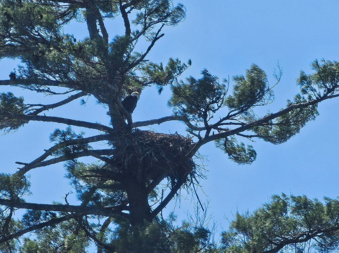 Lake Glenville Scenic Waterfall Cruises-Cashiers必去景点