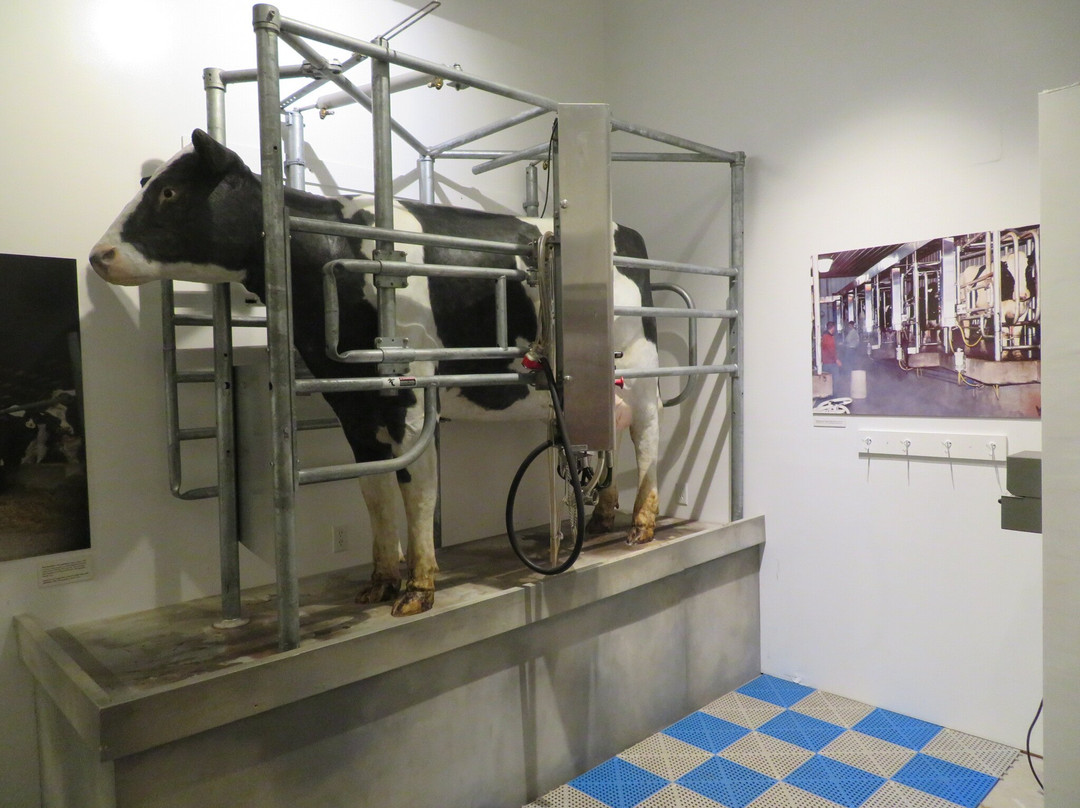 Chippewa Valley Museum-欧克雷尔必去景点