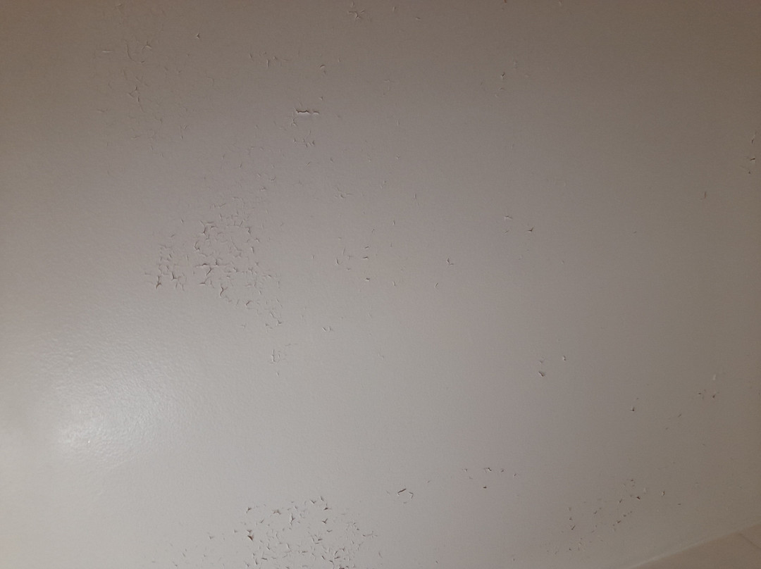 原生酒店 卡瑟康姆托主图