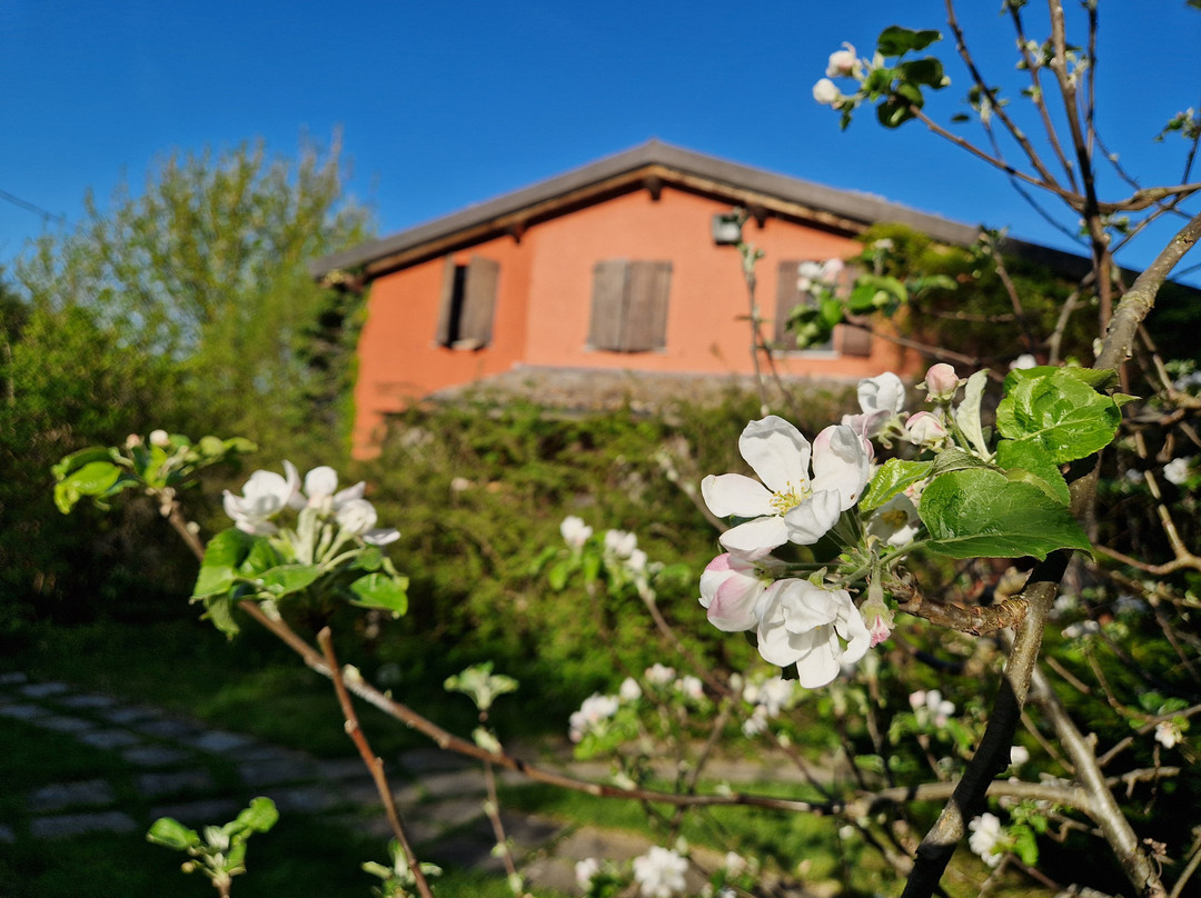 Agriturismo Fattoria Quercia主图