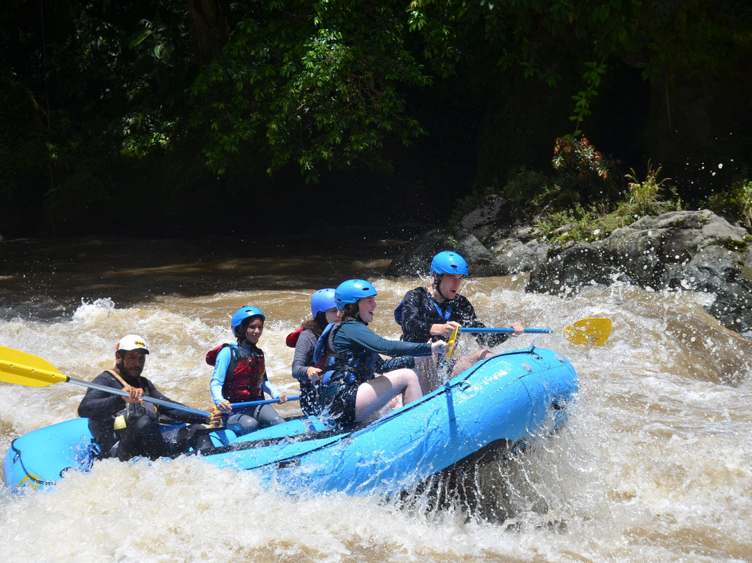 Adrenalina Rafting-图里亚尔瓦必去景点