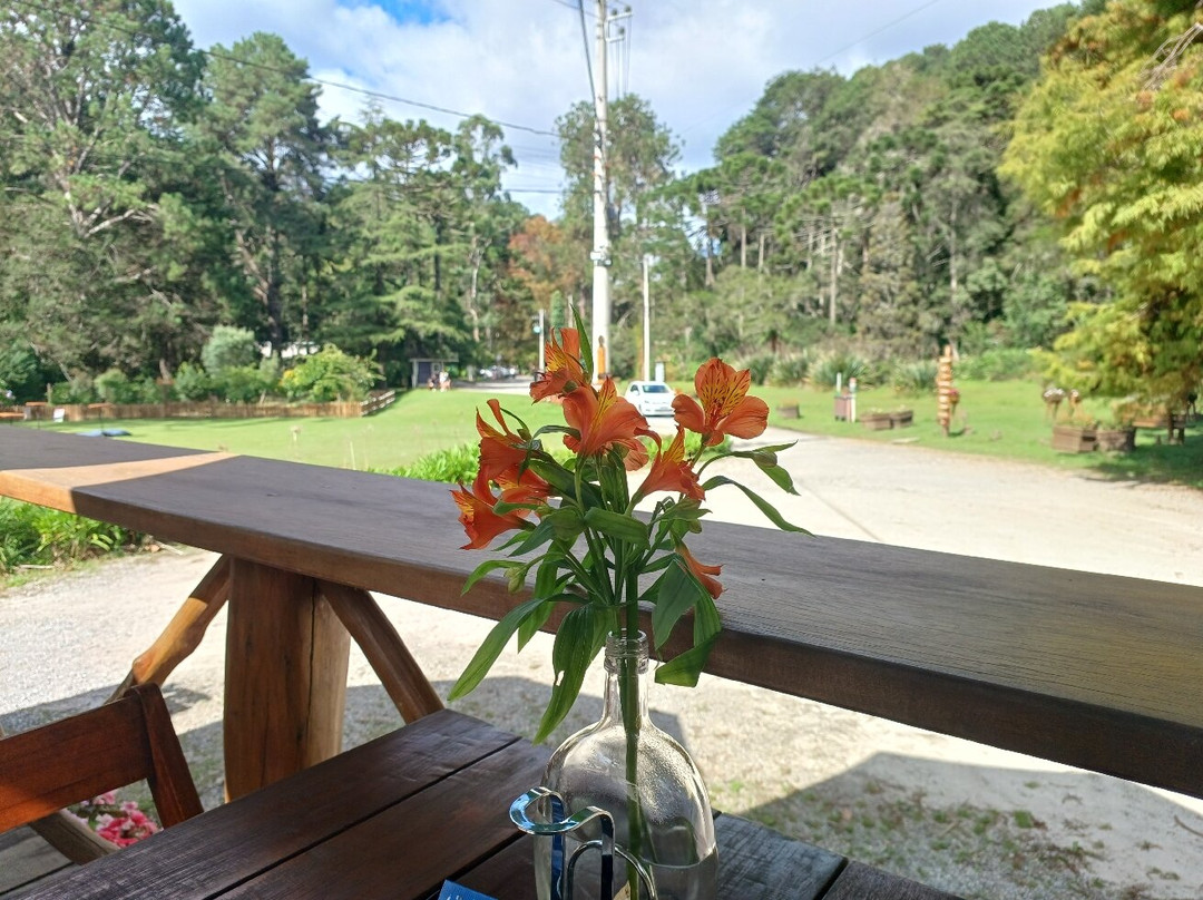Parque Estadual Campos do Jordao-坎普斯－杜若尔当必去景点