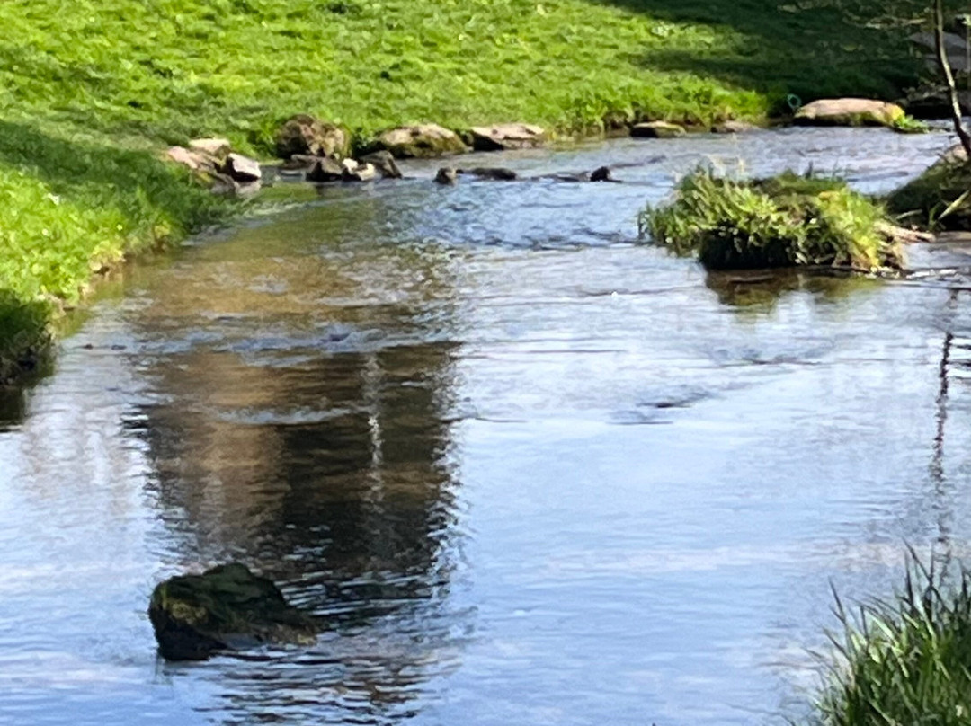 施米茨费尔登库尔酒店主图