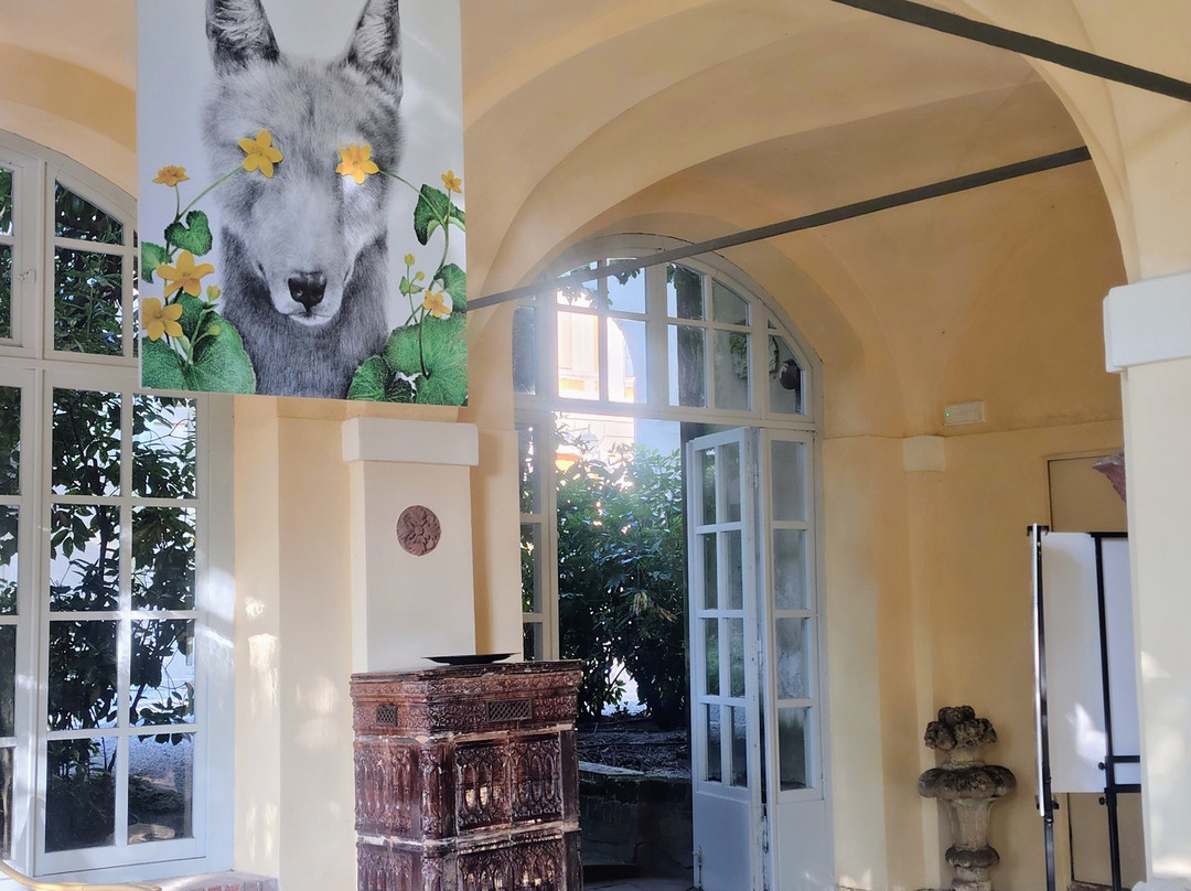 Museo di Palazzo d'Arco-曼托瓦必去景点