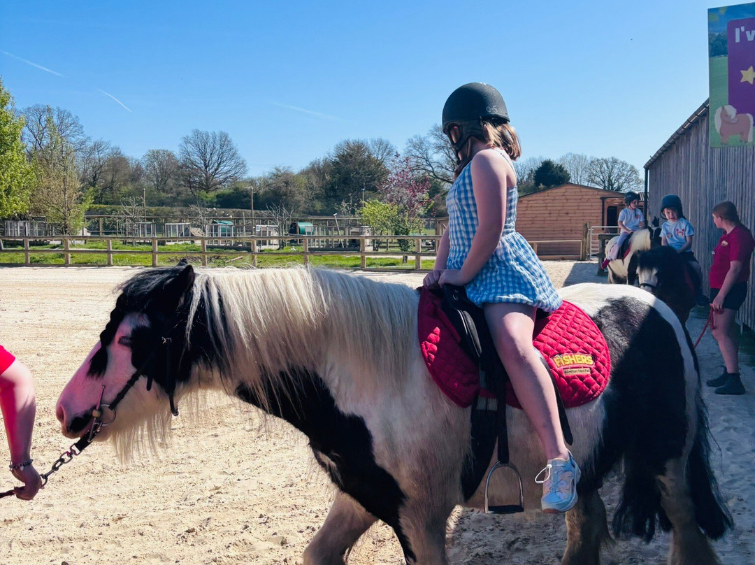 Fishers Farm Park-Wisborough Green必去景点