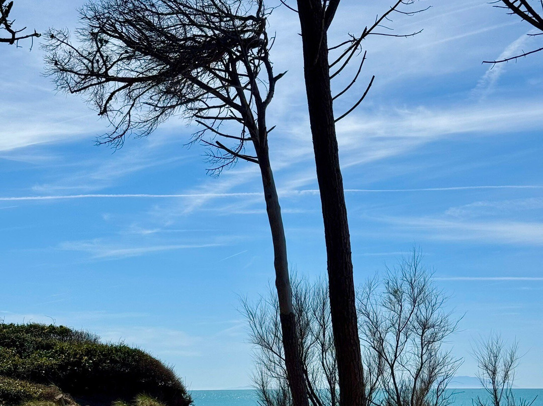 Riserva Naturale Tombolo di Cecina-Marina di Cecina必去景点