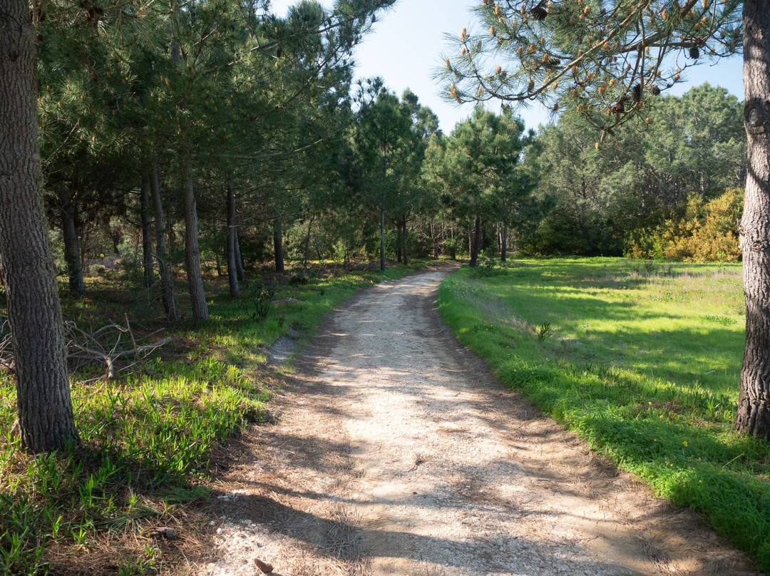 Portugal Nature Trails-辛特拉必去景点