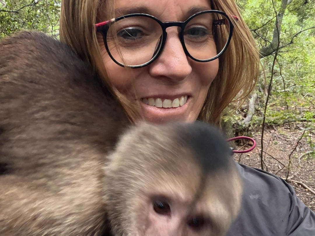 Bush Babies Monkey Sanctuary-哈特比斯普特必去景点