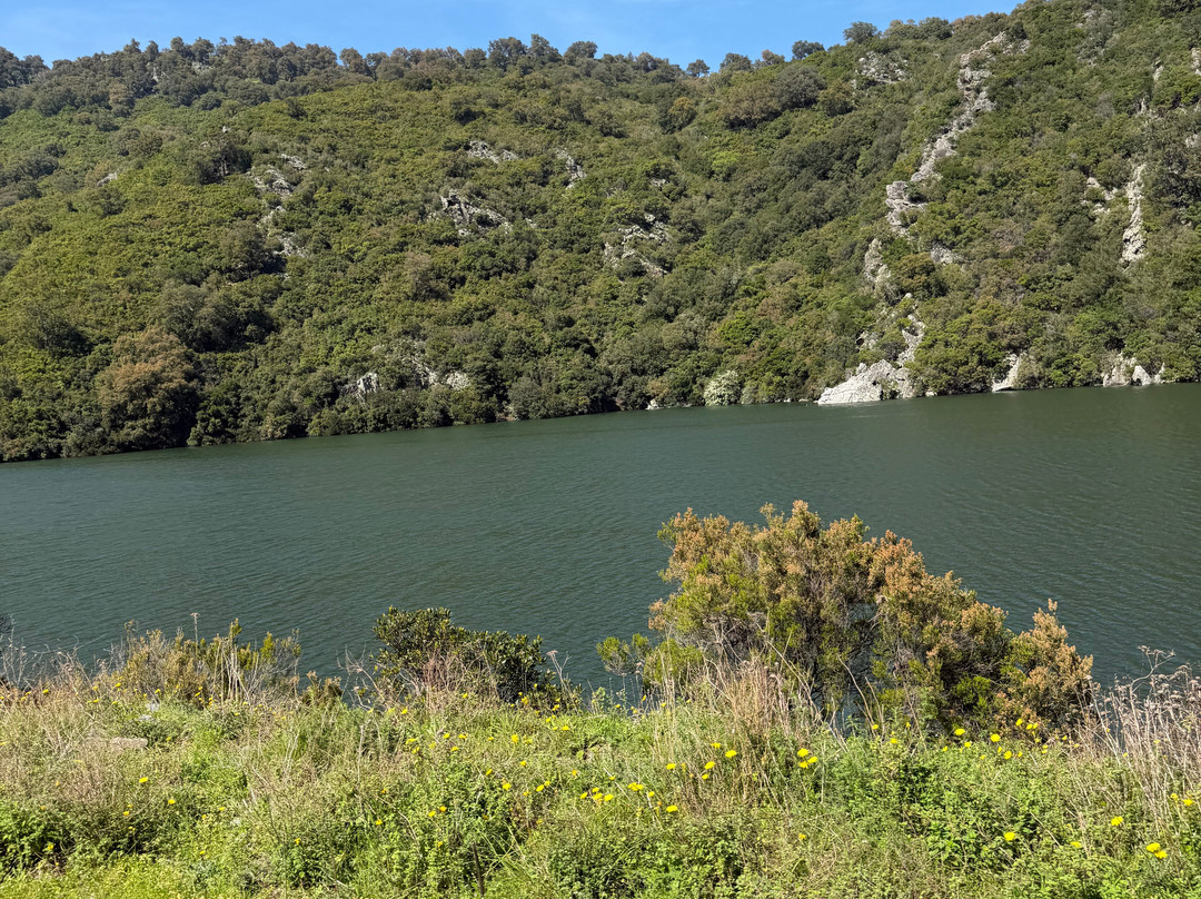 Corse Trike-Bastia必去景点