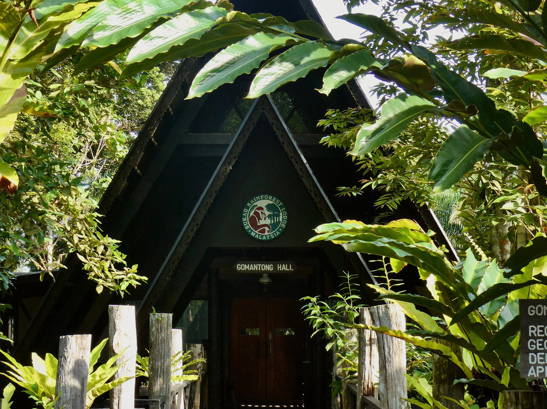 Borneo Eco Tours-亚庇必去景点