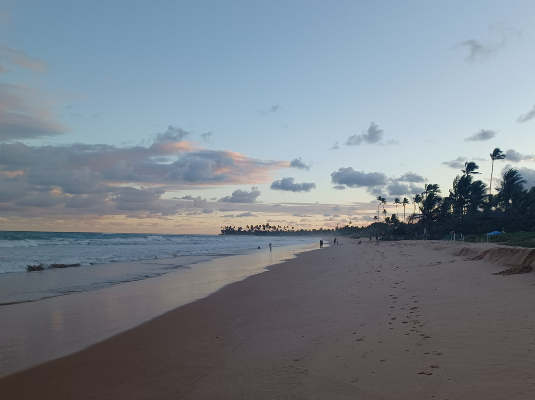 马雷斯盖勒别墅度假村 - 全包式主图