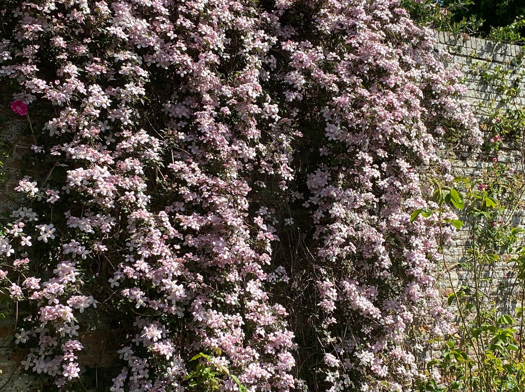 Sissinghurst Castle Garden-Sissinghurst必去景点