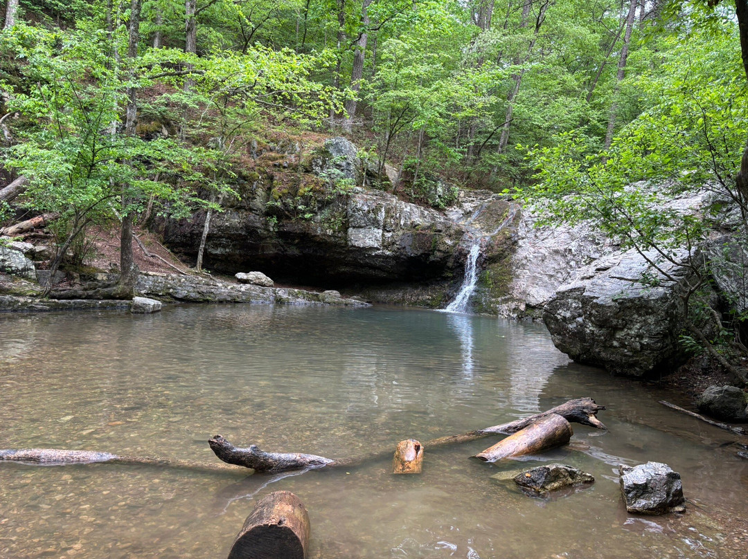 Lake Catherine State Park-温泉城必去景点