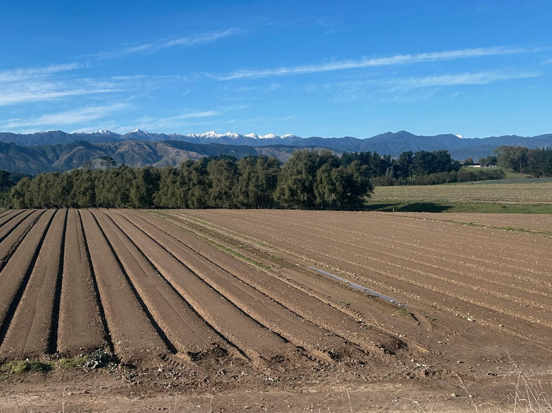 Great Journeys New Zealand-基督城必去景点