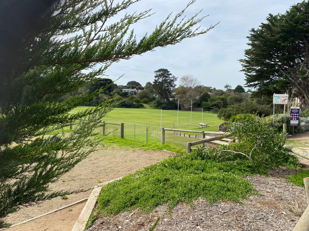 Percy Cerutty Oval (portsea Reserve)-波特西必去景点