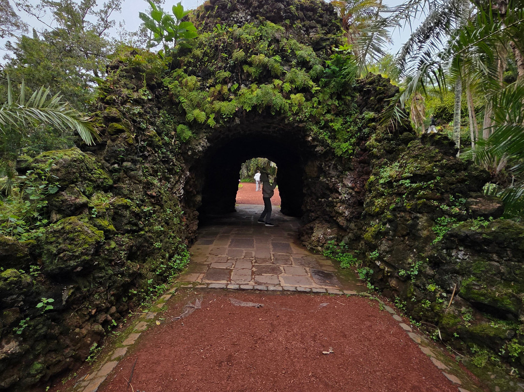Jardim Botânico António Borges-蓬塔德尔加达必去景点