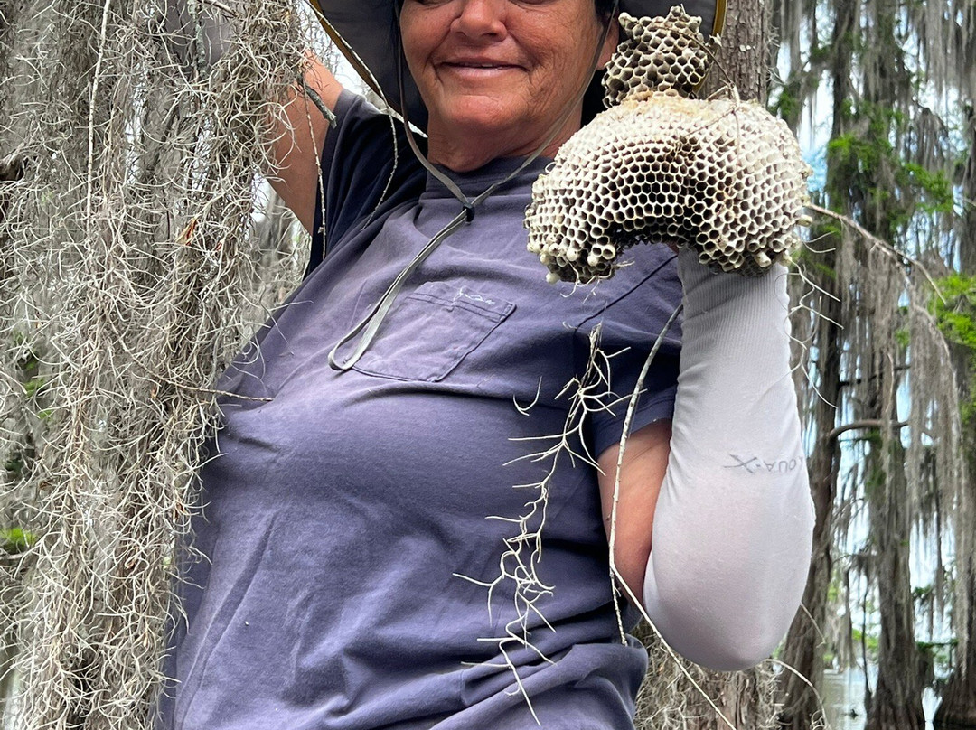 Louisiana Swamp Tours-布里奥克斯桥必去景点
