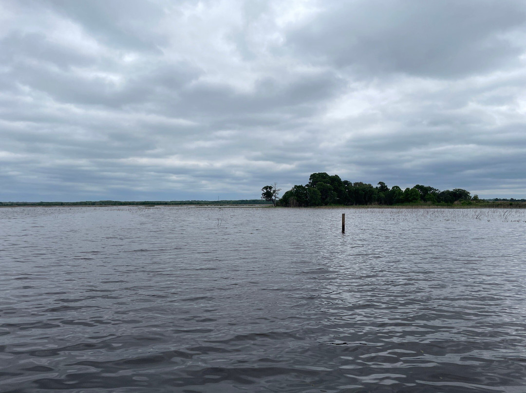 Savannah National Wildlife Refuge-Hardeeville必去景点