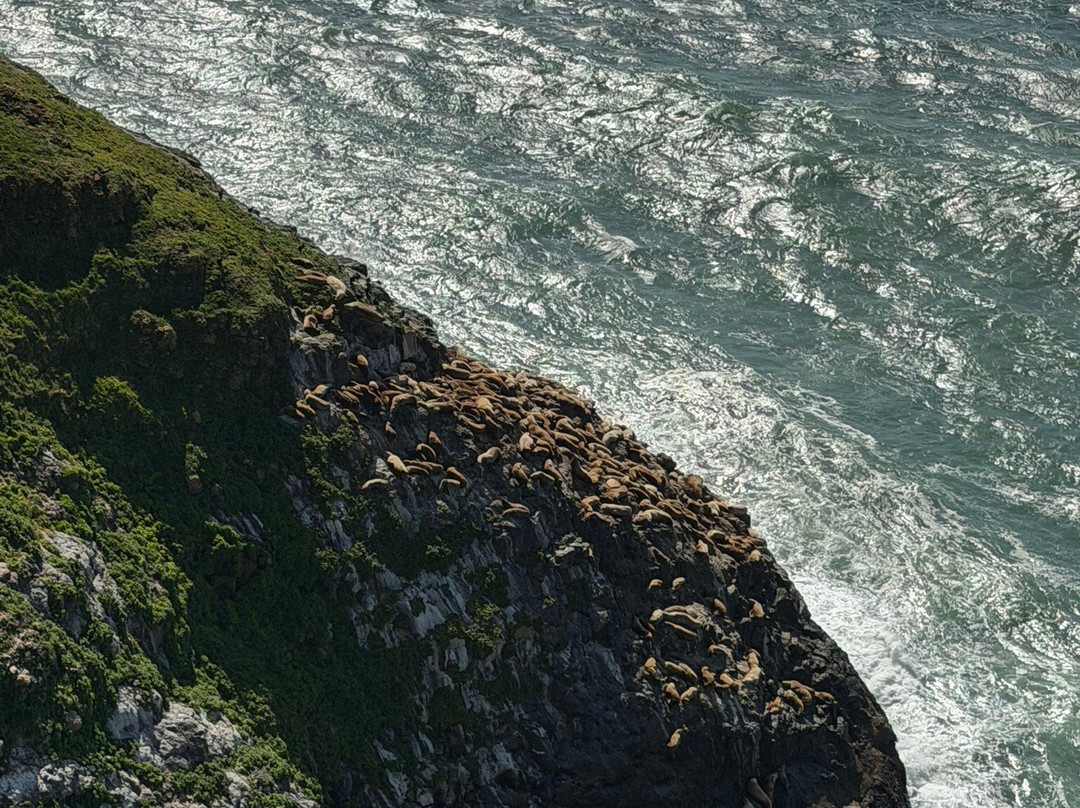 Sea Lion Caves-弗洛伦斯必去景点