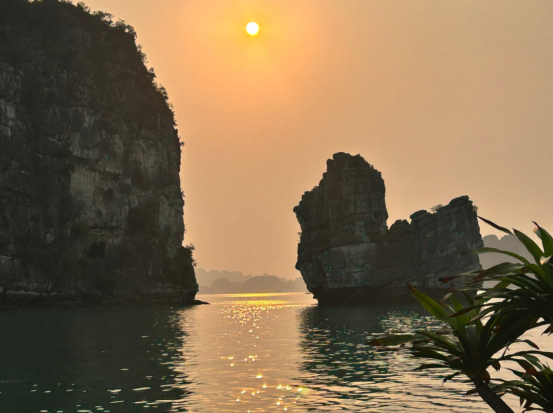 Asia Tours-胡志明市必去景点