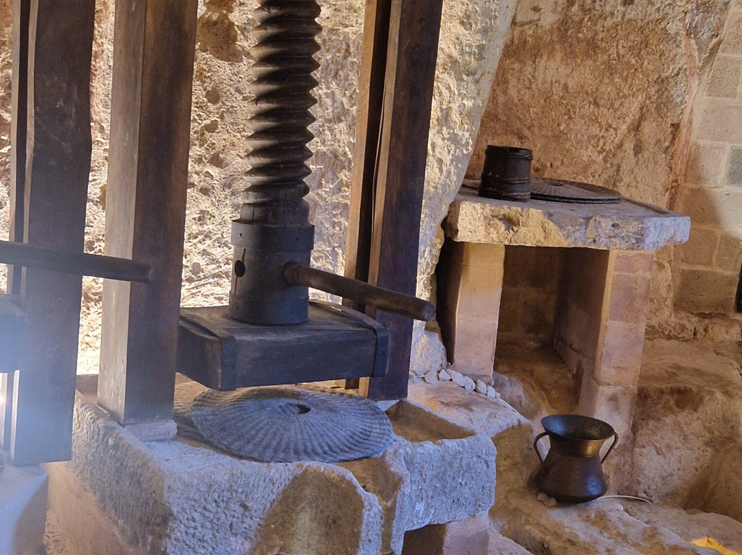 MOOM Matera Olive Oil Museum-马泰拉必去景点