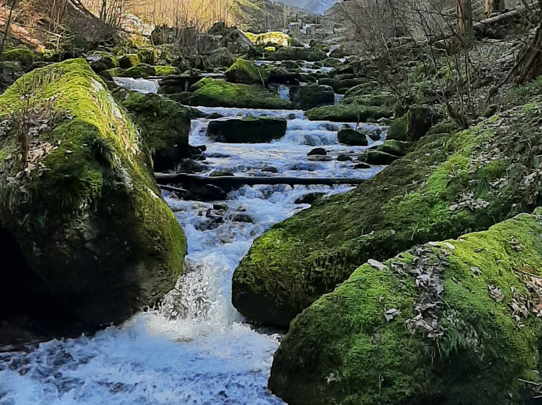 Les Cascades du Herisson-Menetrux-en-Joux必去景点