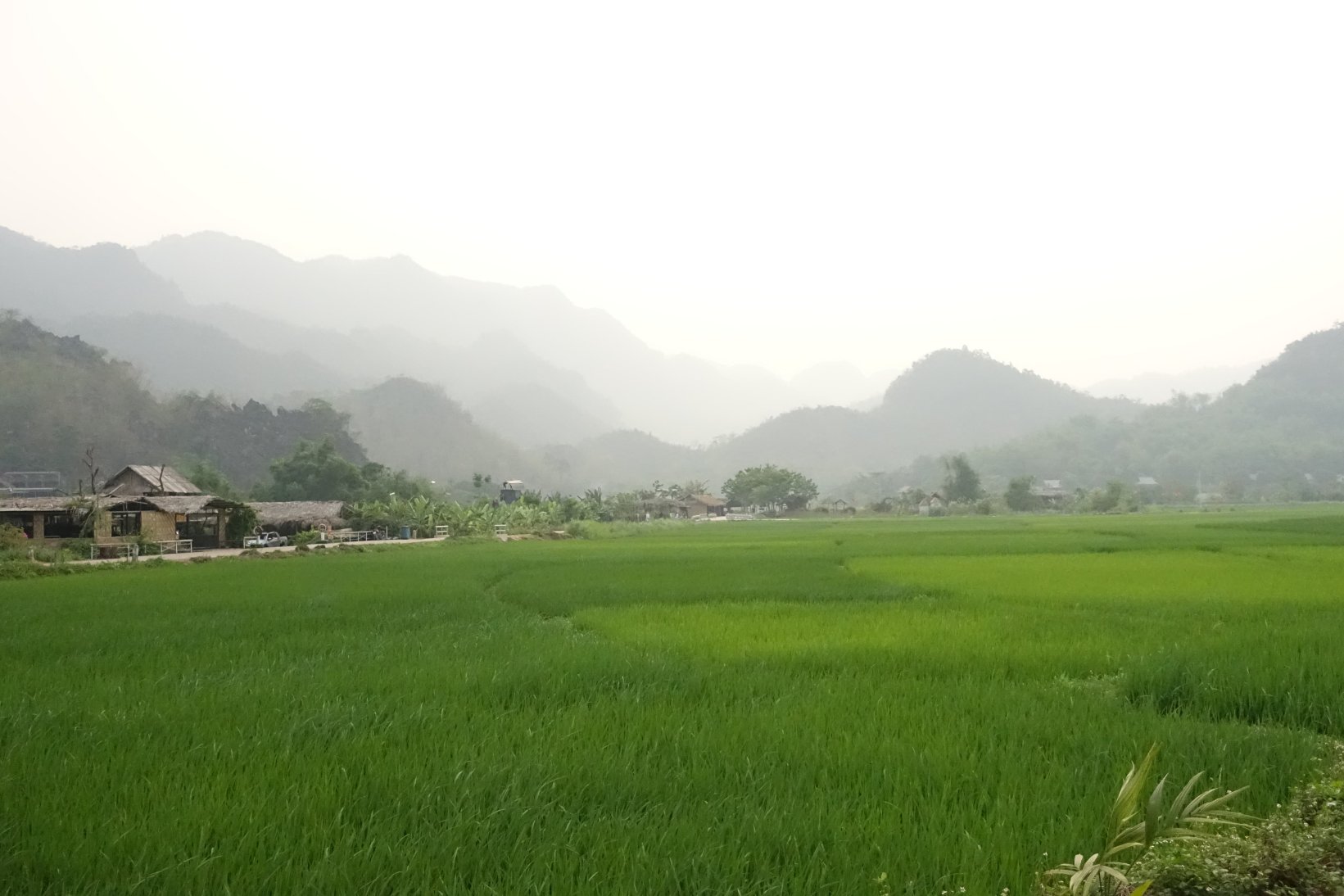 梅州生态旅馆-旅行者